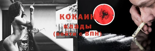 бошки Богородицк
