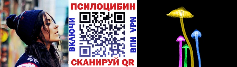 где продают   Пятигорск  Псилоцибиновые грибы прущие грибы 