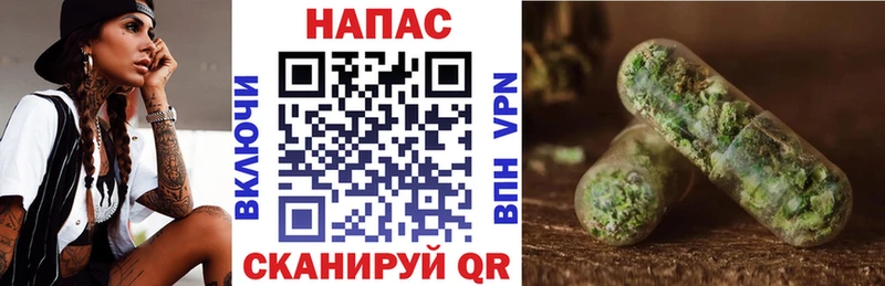 Каннабис ГИДРОПОН Пятигорск